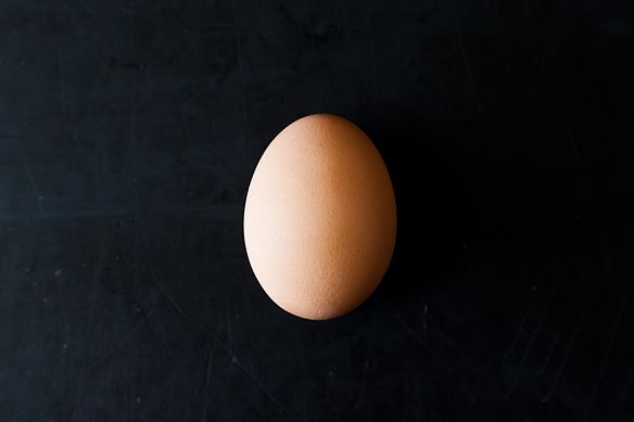 egg