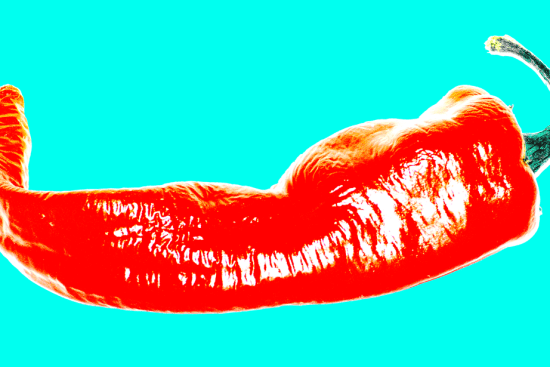 chili pepper