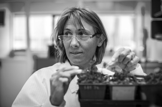 time 100 2016 Hope Jahren