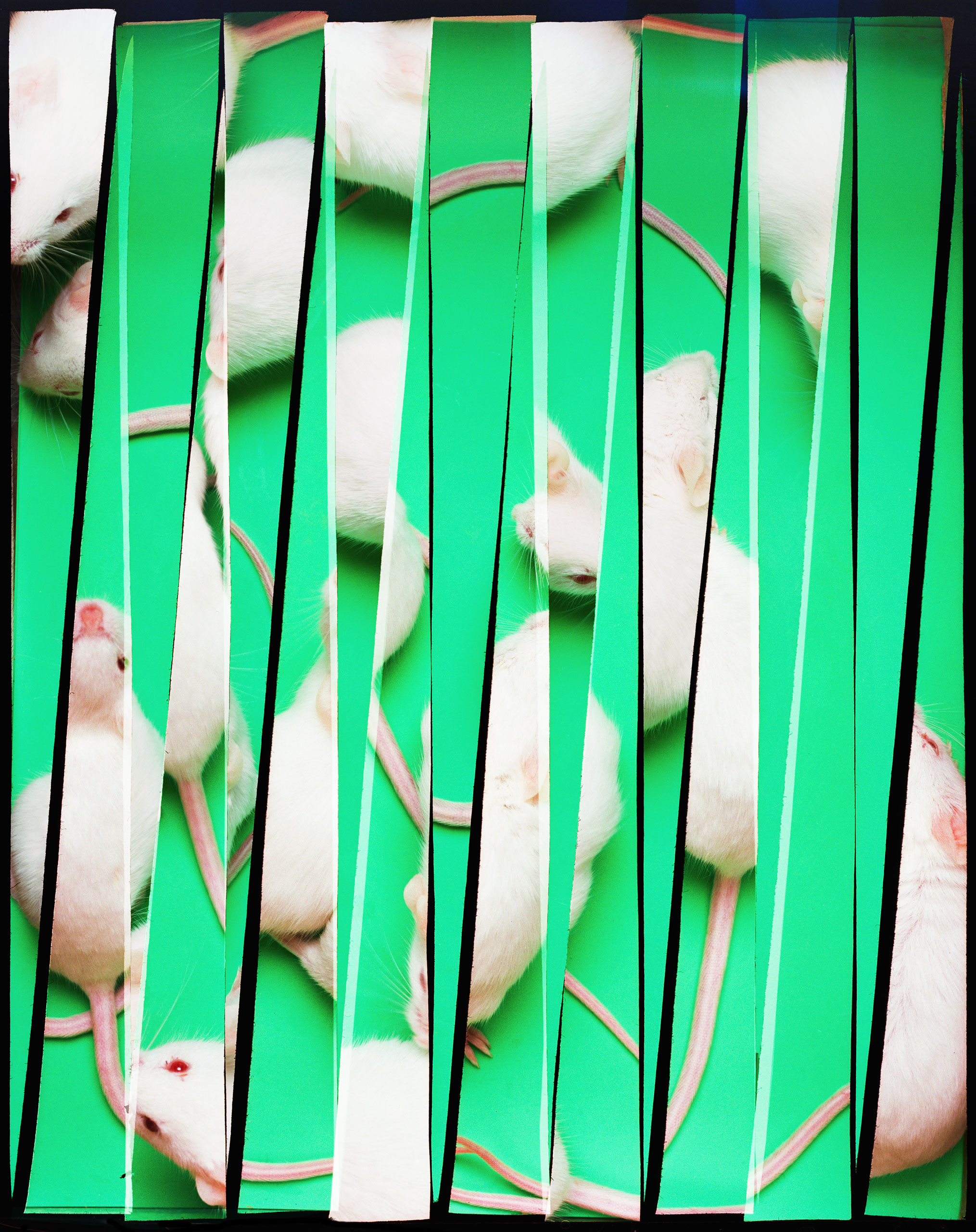 A new technique that lets scientists edit DNA with ease is transforming science—and raising difficult questions