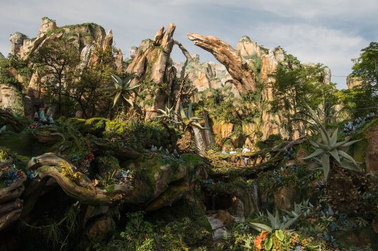 Pandora: The World of Avatar at Disney's Animal Kingdom