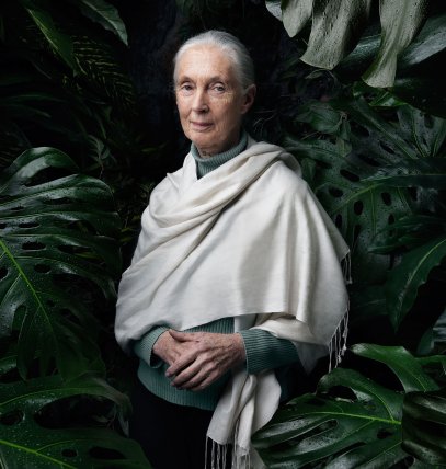 Jane Goodall, primatologist and anthropologist