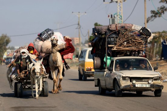 Gaza refugees donkeys