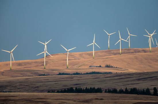 A wind farm near Cowley, Alberta, Canada, in 2022.